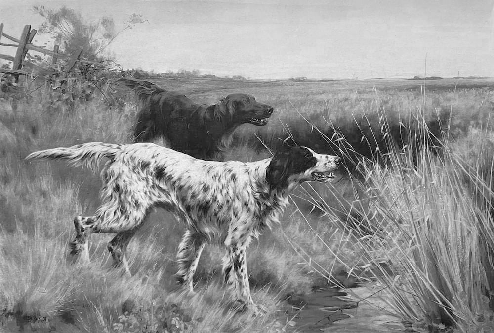 "In den Sümpfen"Thomas Blinks, Kupferdruck auf Büttenpapier